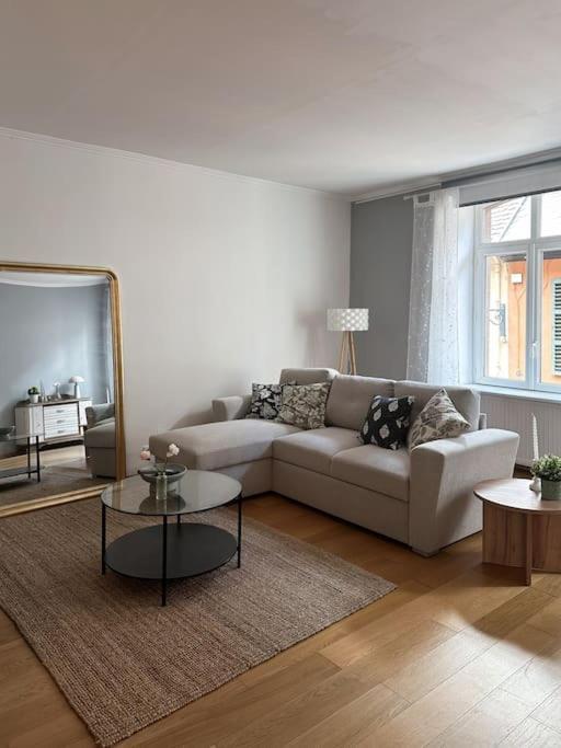 Hypercentre 80M2, A Deux Pas Du Chateau Des Rohan Saverne Dış mekan fotoğraf