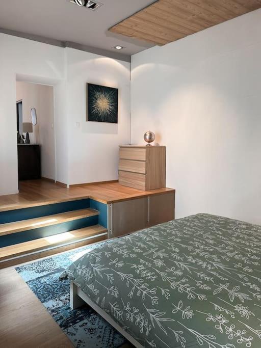 Hypercentre 80M2, A Deux Pas Du Chateau Des Rohan Saverne Dış mekan fotoğraf