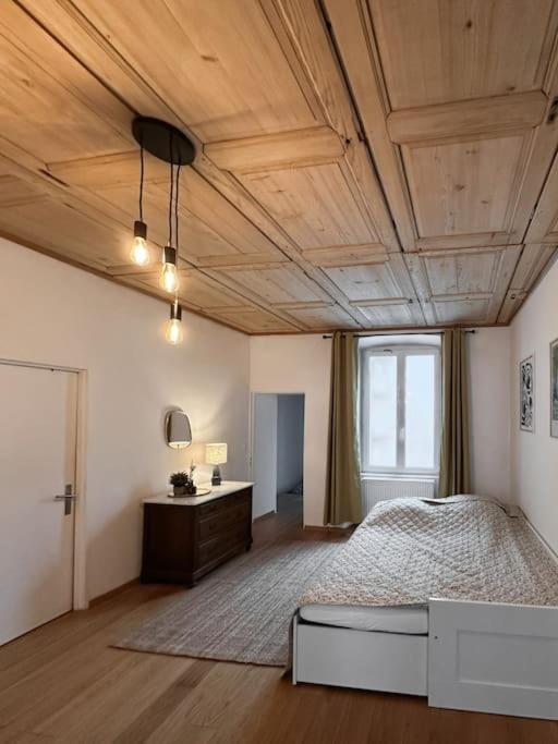 Hypercentre 80M2, A Deux Pas Du Chateau Des Rohan Saverne Dış mekan fotoğraf