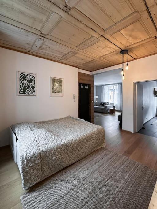 Hypercentre 80M2, A Deux Pas Du Chateau Des Rohan Saverne Dış mekan fotoğraf