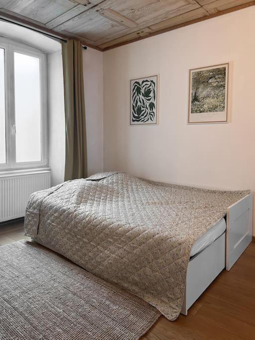 Hypercentre 80M2, A Deux Pas Du Chateau Des Rohan Saverne Dış mekan fotoğraf