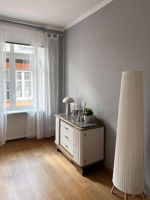 Hypercentre 80M2, A Deux Pas Du Chateau Des Rohan Saverne Dış mekan fotoğraf
