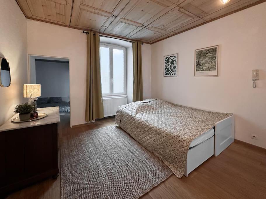 Hypercentre 80M2, A Deux Pas Du Chateau Des Rohan Saverne Dış mekan fotoğraf